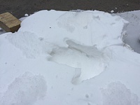 Imitation of footprints on the snow